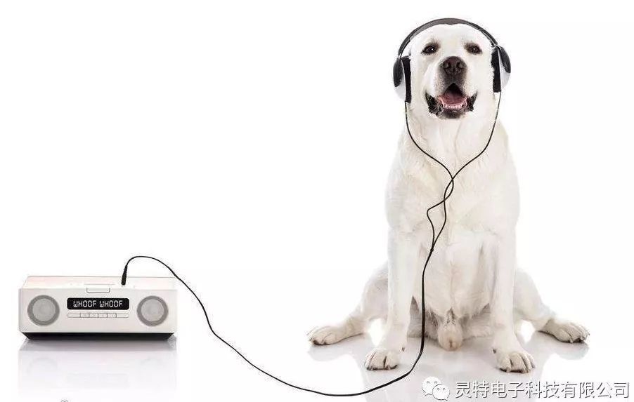 微信圖片_20190410093858